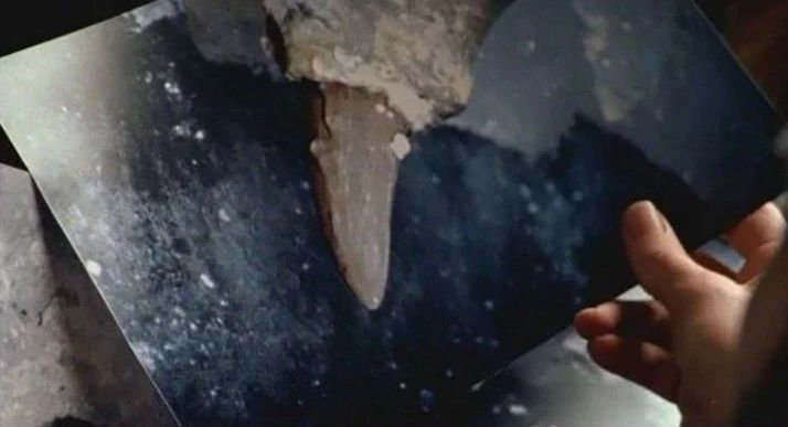 世界上有没有龙的存在真实视频,如果龙真的存在世界会怎么样