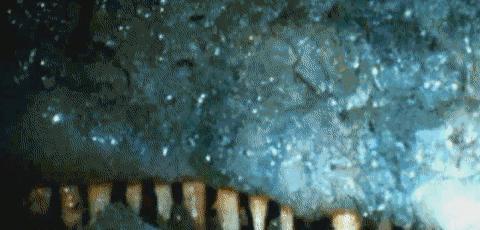 世界上有没有龙的存在真实视频,如果龙真的存在世界会怎么样