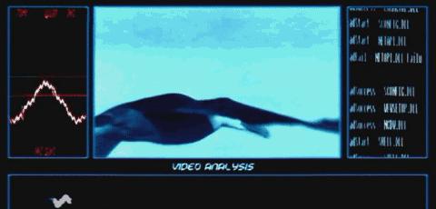 世界上有没有龙的存在真实视频,如果龙真的存在世界会怎么样