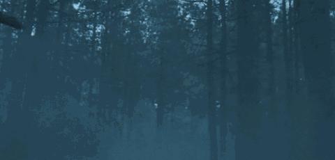 世界上有没有龙的存在真实视频,如果龙真的存在世界会怎么样