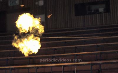 世界上有没有龙的存在真实视频,如果龙真的存在世界会怎么样