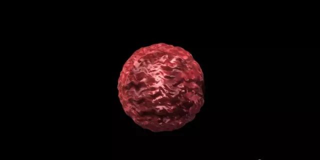 看了科普知识感悟,免疫学基础知识