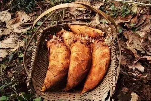 四川农村常见野菜大全,四川的野菜根本吃不完你见过几种