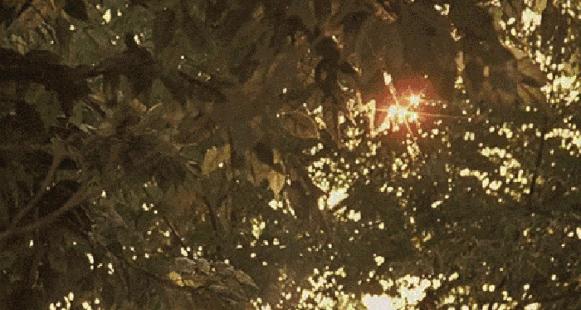 养成良好的生活习惯表现,6个好习惯让你生活井然有序