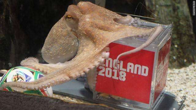 世界杯插曲最经典的三首,盘点历届世界杯经典歌曲