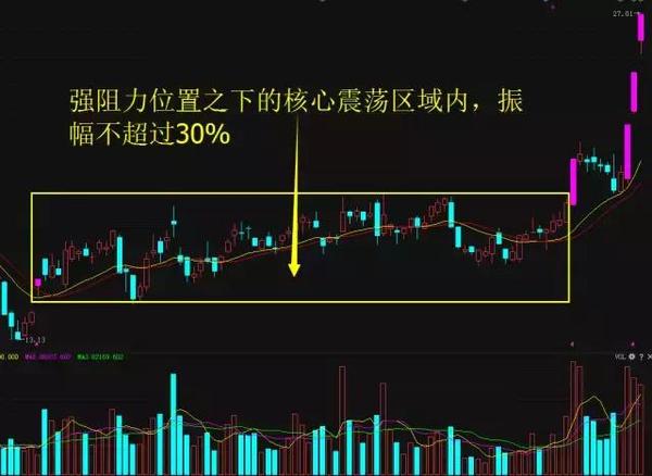 上海顶级股票操盘手,上海黑马操盘手