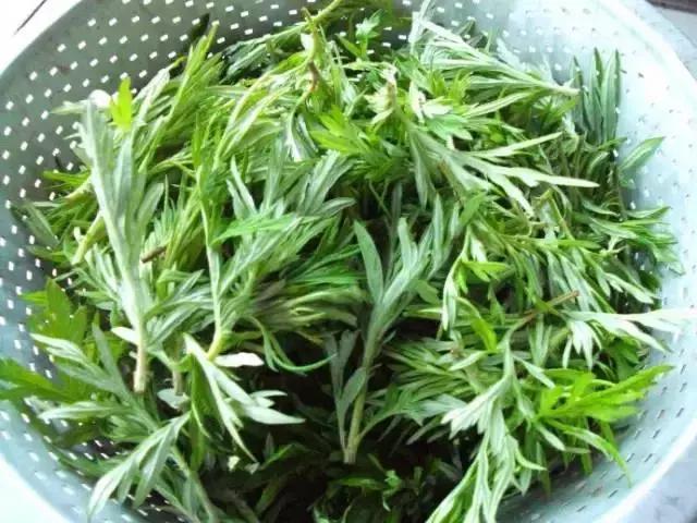 蚊子大军训练,17个驱蚊小妙招让蚊子不敢进房间