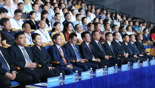 问政过招市政｜有黄牌有红牌要是世界杯很容易被罚下