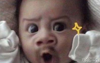 小兔崽子就是欠揍,小兔崽子想挨揍下一句