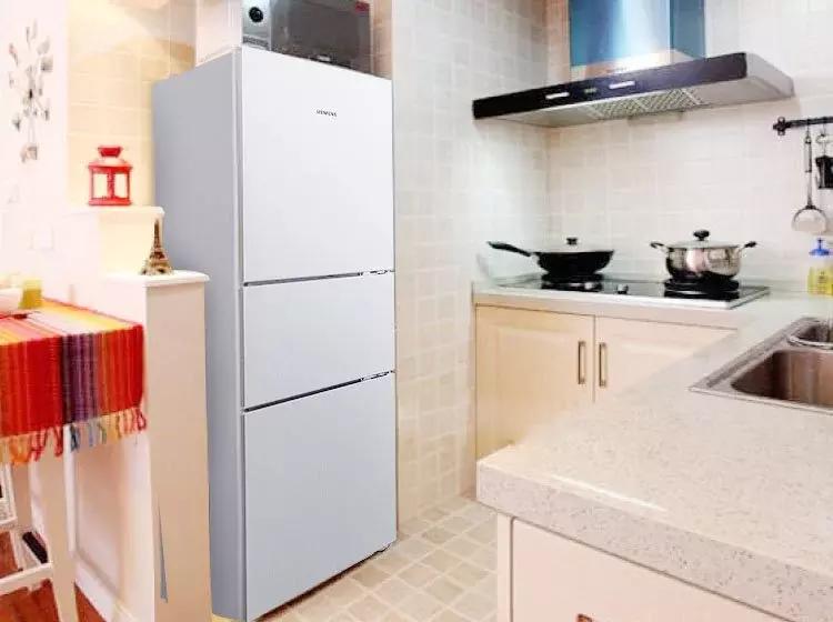 小户型选择多大的冰箱比较合适,小户型冰箱选几开门最好