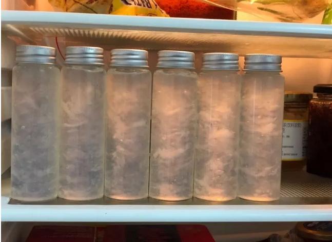 想吃燕窝没钱怎么办,想吃燕窝怎么回事