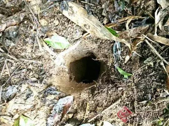 真正的陨石目前多少钱一克,疯狂的陨石真的值一个亿