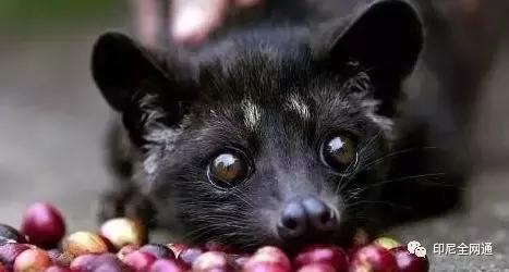 印尼有哪些特产可以带回国的,去印尼可以带什么吃的