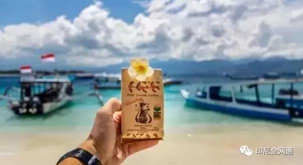 印尼有哪些特产可以带回国的,去印尼可以带什么吃的