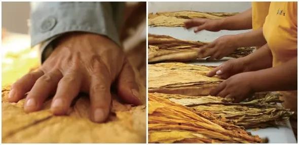 “做最好的自己”—解码湖南中烟“芙蓉王”细支烟质量管控之道