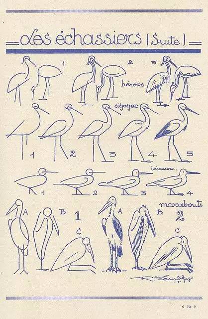 3分钟就能学会的简笔画教程,三分钟教你画超可爱的简笔画