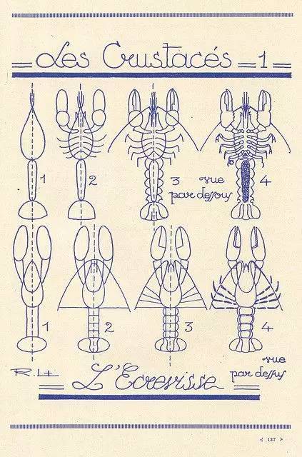 3分钟就能学会的简笔画教程,三分钟教你画超可爱的简笔画