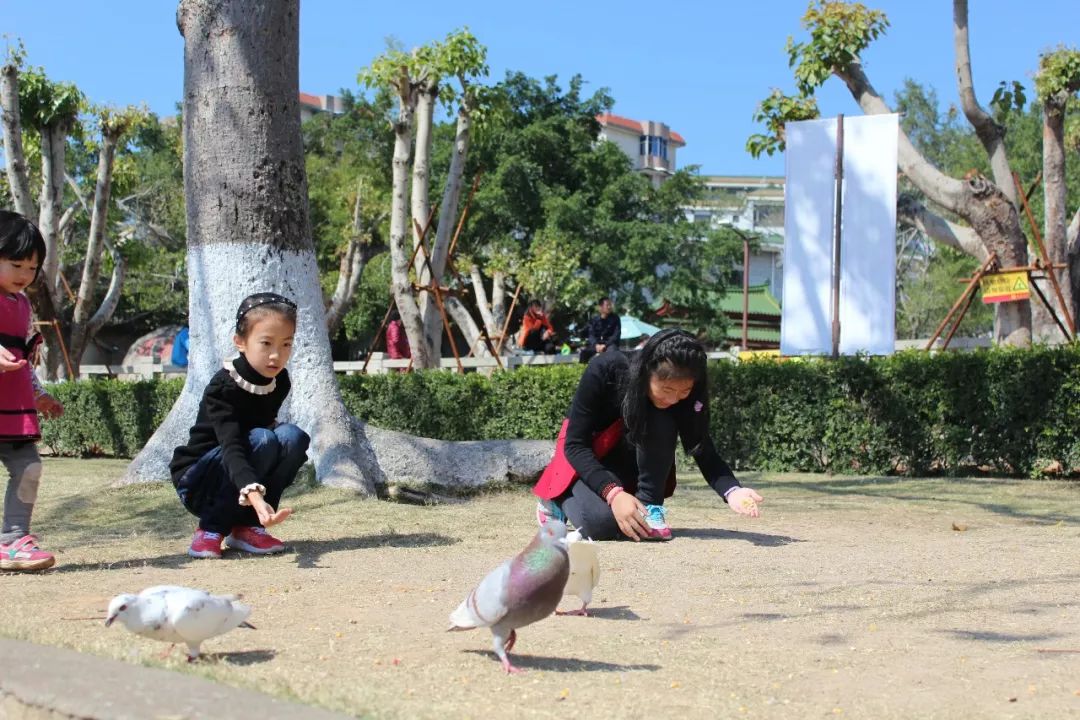 厦门鼓浪屿三日两夜亲子游,厦门鼓浪屿旅游一家三口攻略