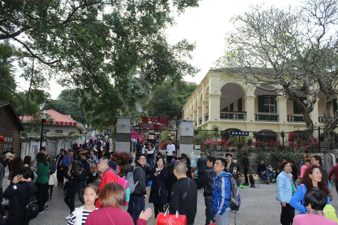 厦门鼓浪屿三日两夜亲子游,厦门鼓浪屿旅游一家三口攻略