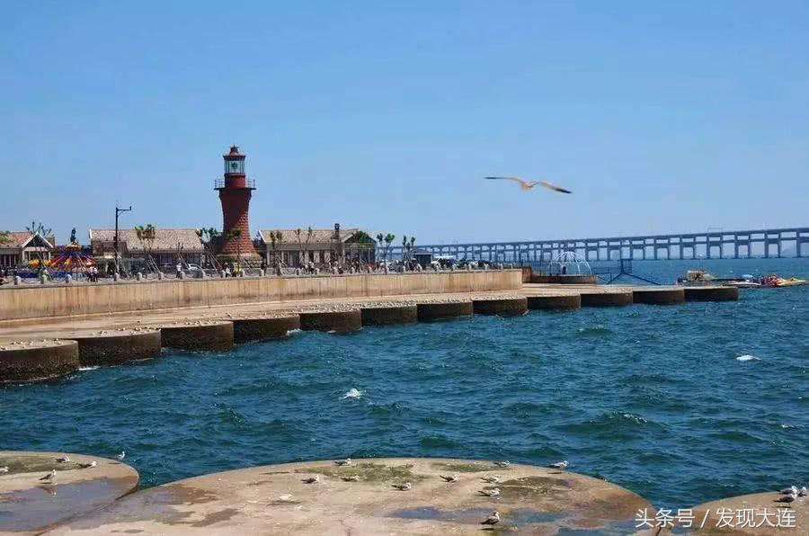 星海湾大桥啥时候通公交车,大连星海湾大桥啥时能通公交车