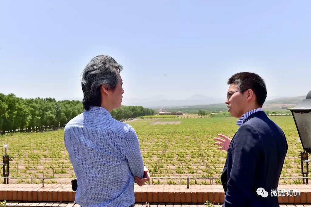 长城桑干酒庄哪款酒好,长城桑干酒庄官方旗舰店