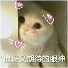 冰淇淋推荐浪漫雪,十大惊艳冰淇淋