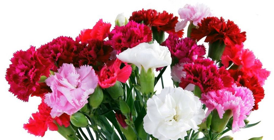 出国自由行注意事项,为了出国旅游而出国