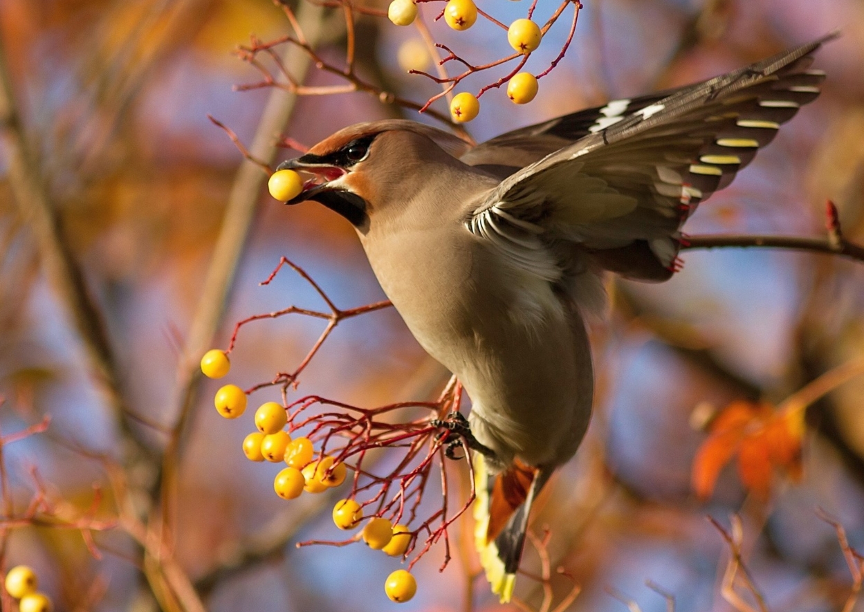 钱是好东西验证了人心见证了人性,钱是好东西男声完整版
