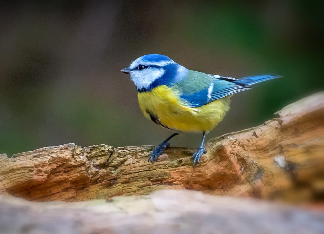 钱是好东西验证了人心见证了人性,钱是好东西男声完整版