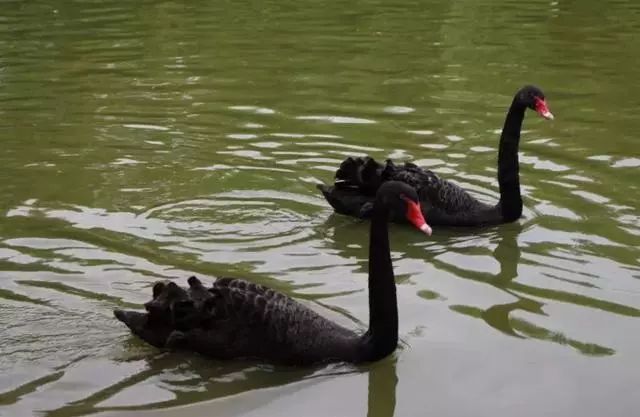 沈阳周边自驾游一日游冬季,沈阳周边温泉一日游