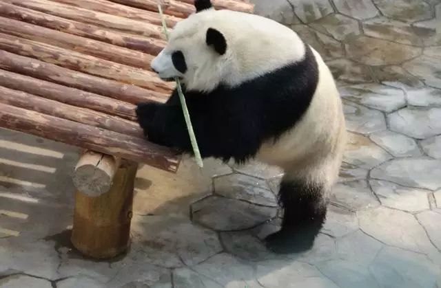 沈阳周边自驾游一日游冬季,沈阳周边温泉一日游