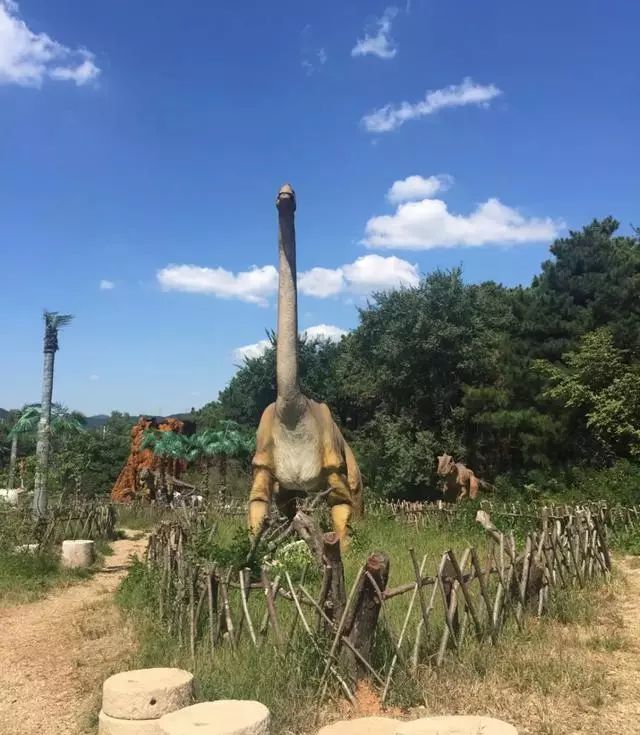 沈阳周边自驾游一日游冬季,沈阳周边温泉一日游