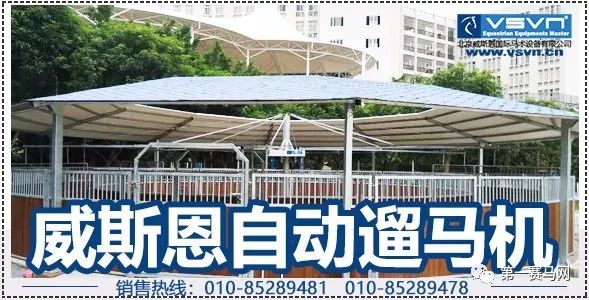 一滴精贵过一粒大钻石！“北方舞蹈家”一次配种费曾高达675万……