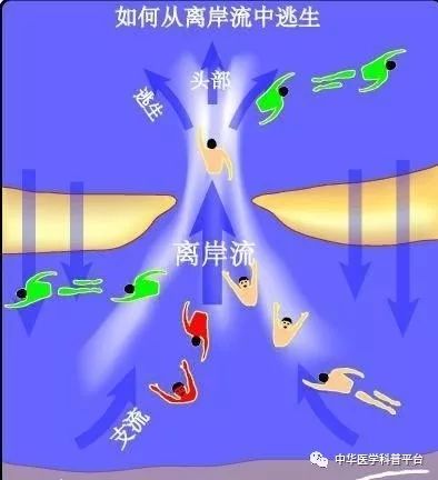 夏天游泳池旅游注意事项,海边旅游安全知识及游泳注意事项