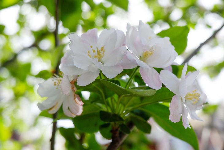 文艺美颜相机,文艺拍照相机