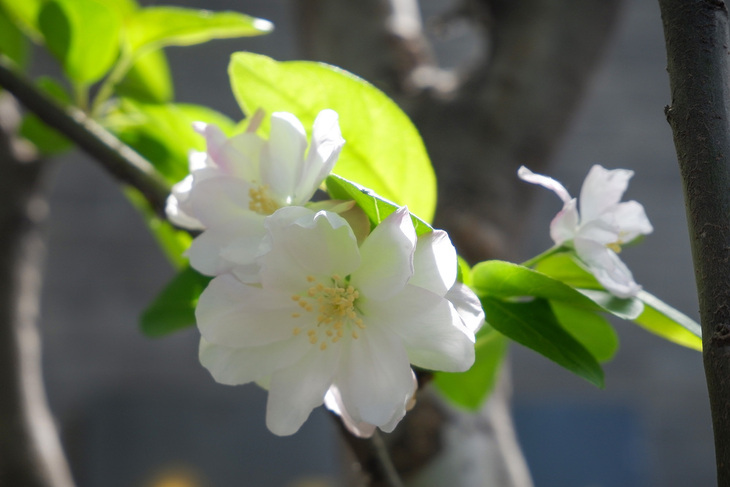 文艺美颜相机,文艺拍照相机