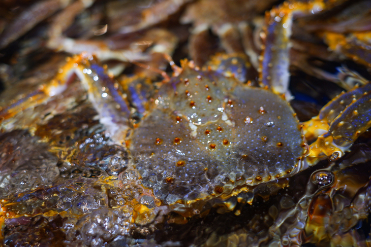 文艺美颜相机,文艺拍照相机