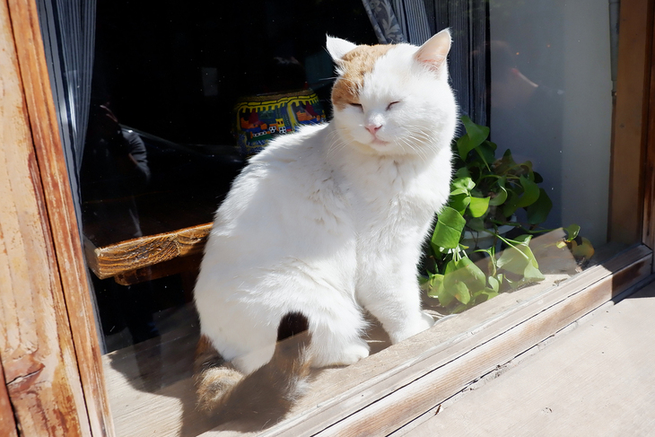 文艺美颜相机,文艺拍照相机