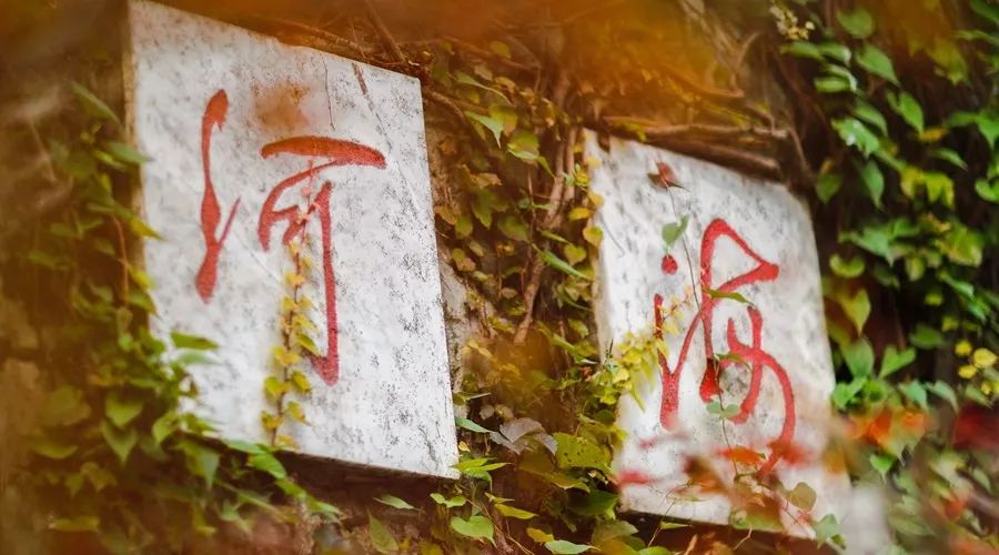 2018，刷爆河海人朋友圈的那些人和那些事儿~