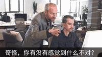 考拉改名前叫什么,网易考拉更名