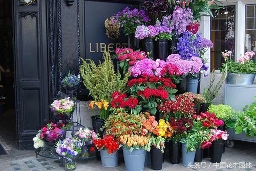 东阳开花店进货渠道,想开花店去哪里进货渠道