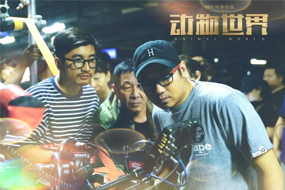 李易峰动物世界电影讲什么,李易峰动物世界在哪看