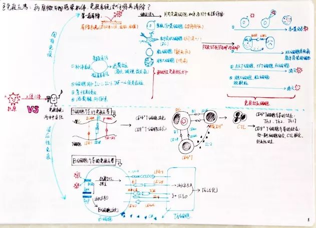 学霸笔记经典语录励志,学霸的笔记是真的吗