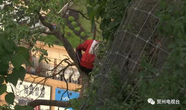 贺州20岁男子2次轻生,广西一男子跳桥轻生