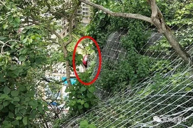 贺州20岁男子2次轻生,广西一男子跳桥轻生