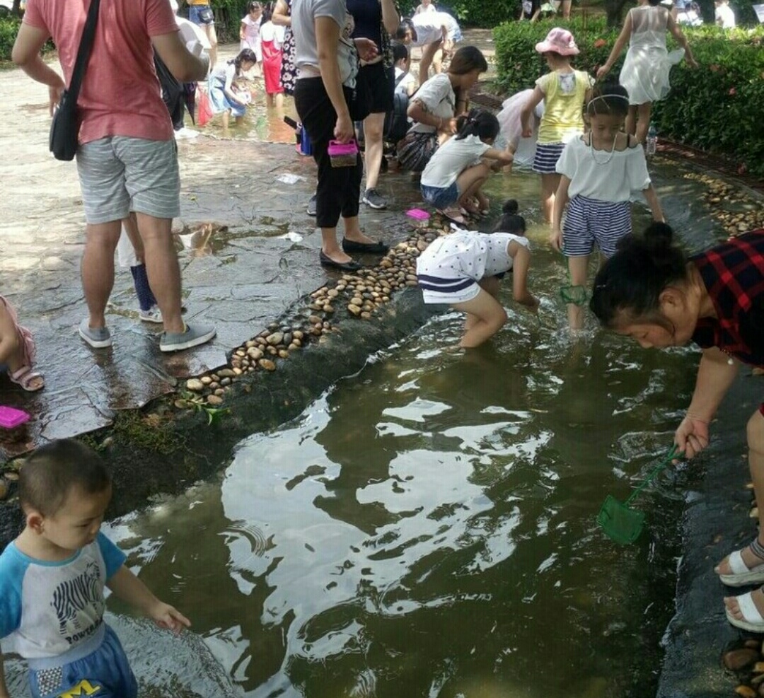 深圳海上田园怎么样,深圳海上田园景区