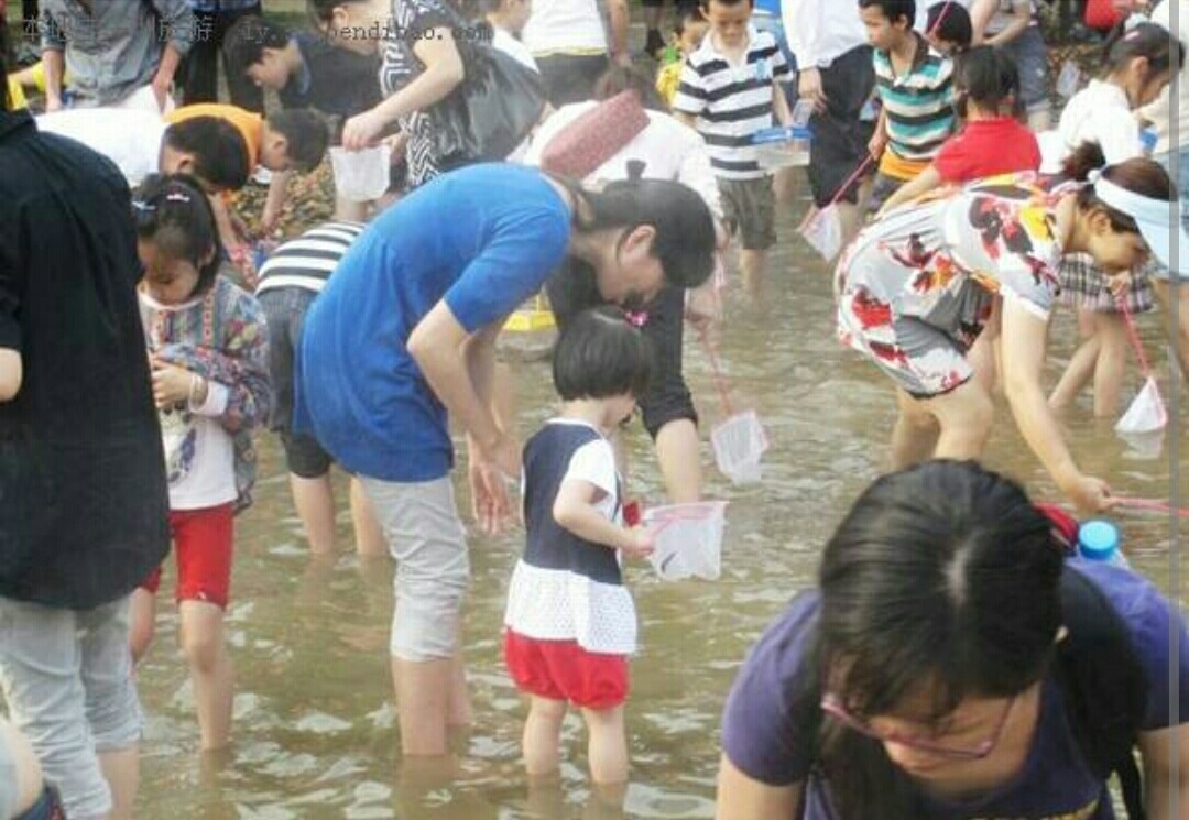 深圳海上田园怎么样,深圳海上田园景区
