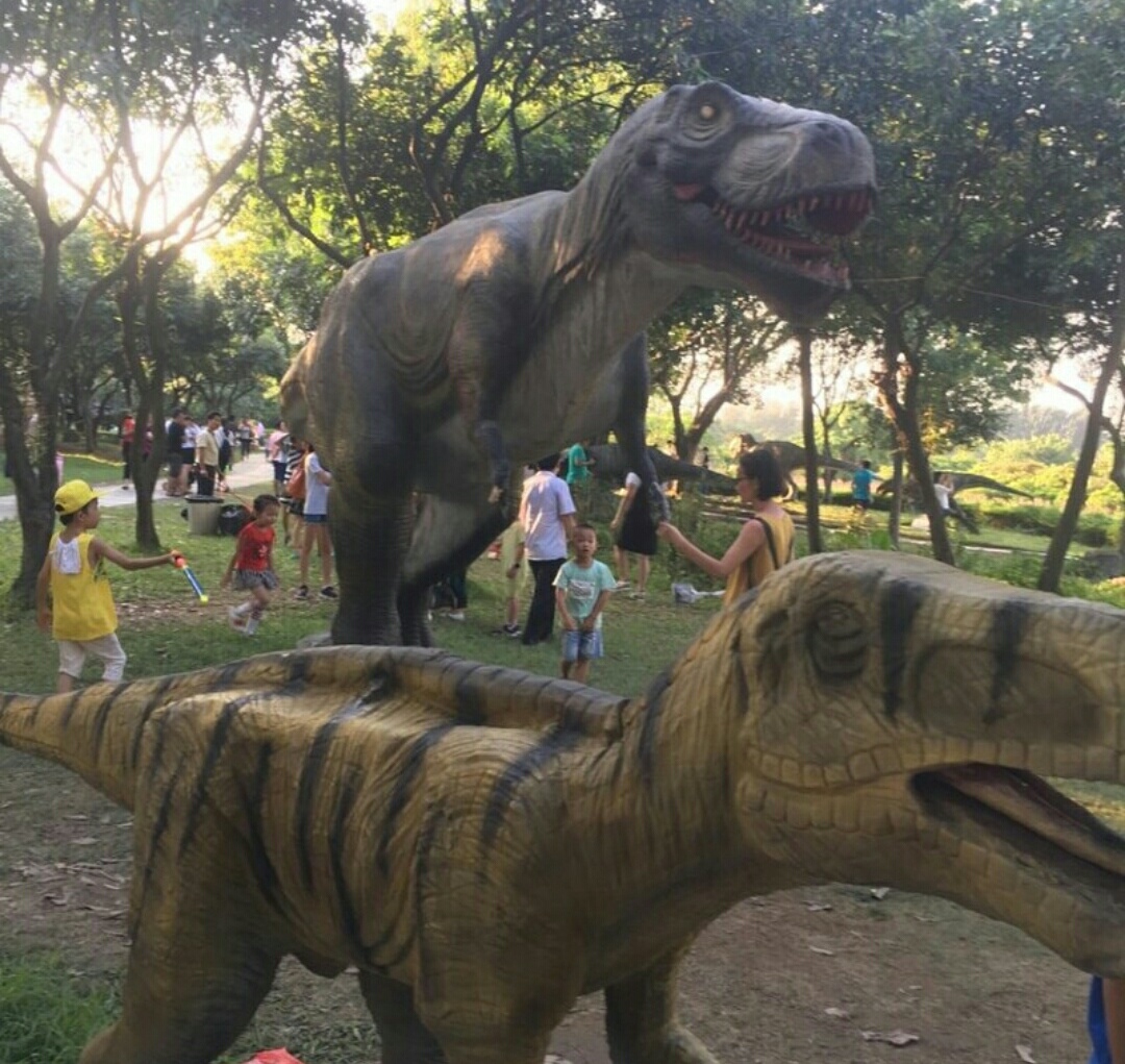 深圳海上田园怎么样,深圳海上田园景区