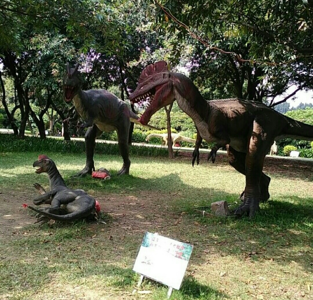 深圳海上田园怎么样,深圳海上田园景区