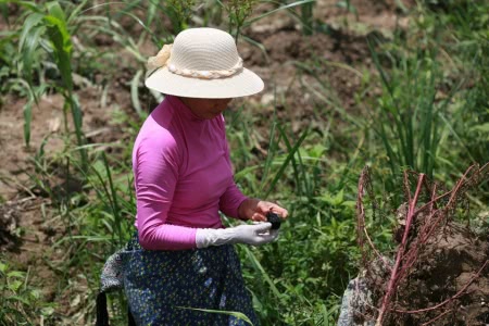火流星砸中云南小镇点燃暴富梦：84克陨石要价20万